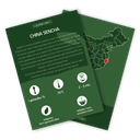 Tee Tasting Set (Grüner Tee) - Infokarte Teesorte