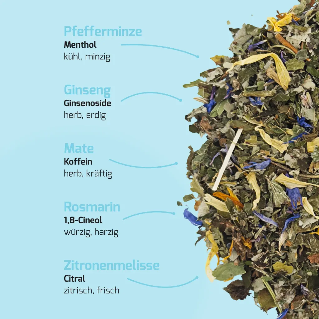Produkt_Minze Ginseng_03.webp