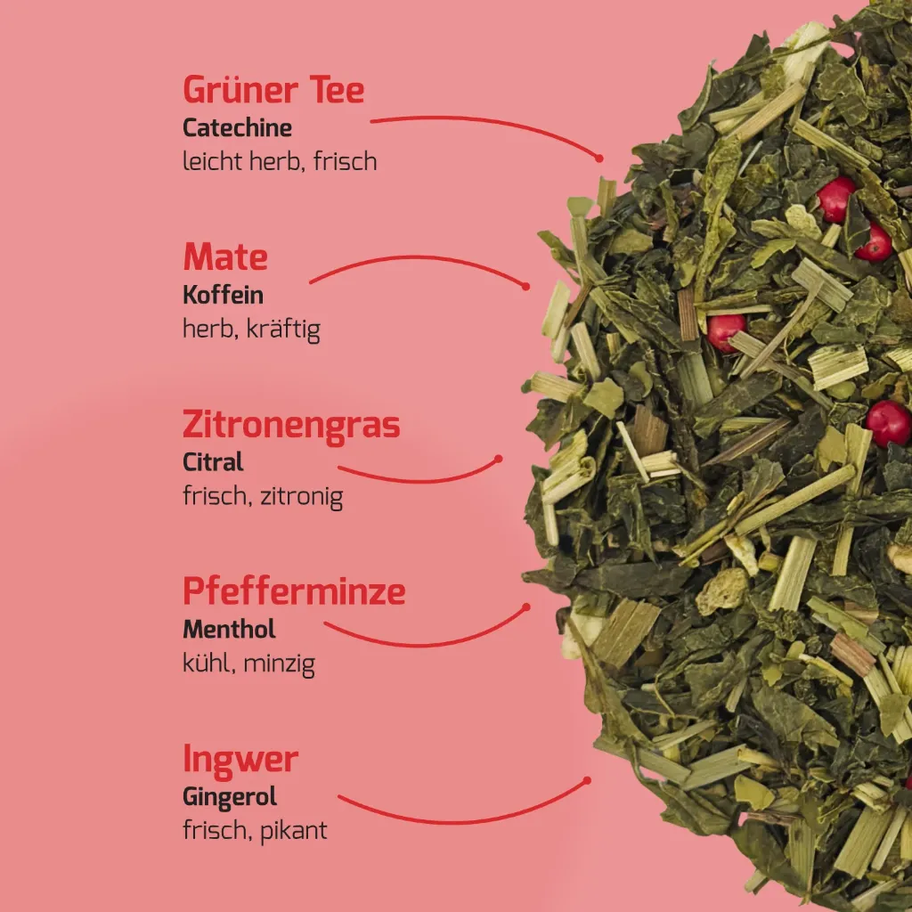 Produkt_Mate & Zitrone_03.webp