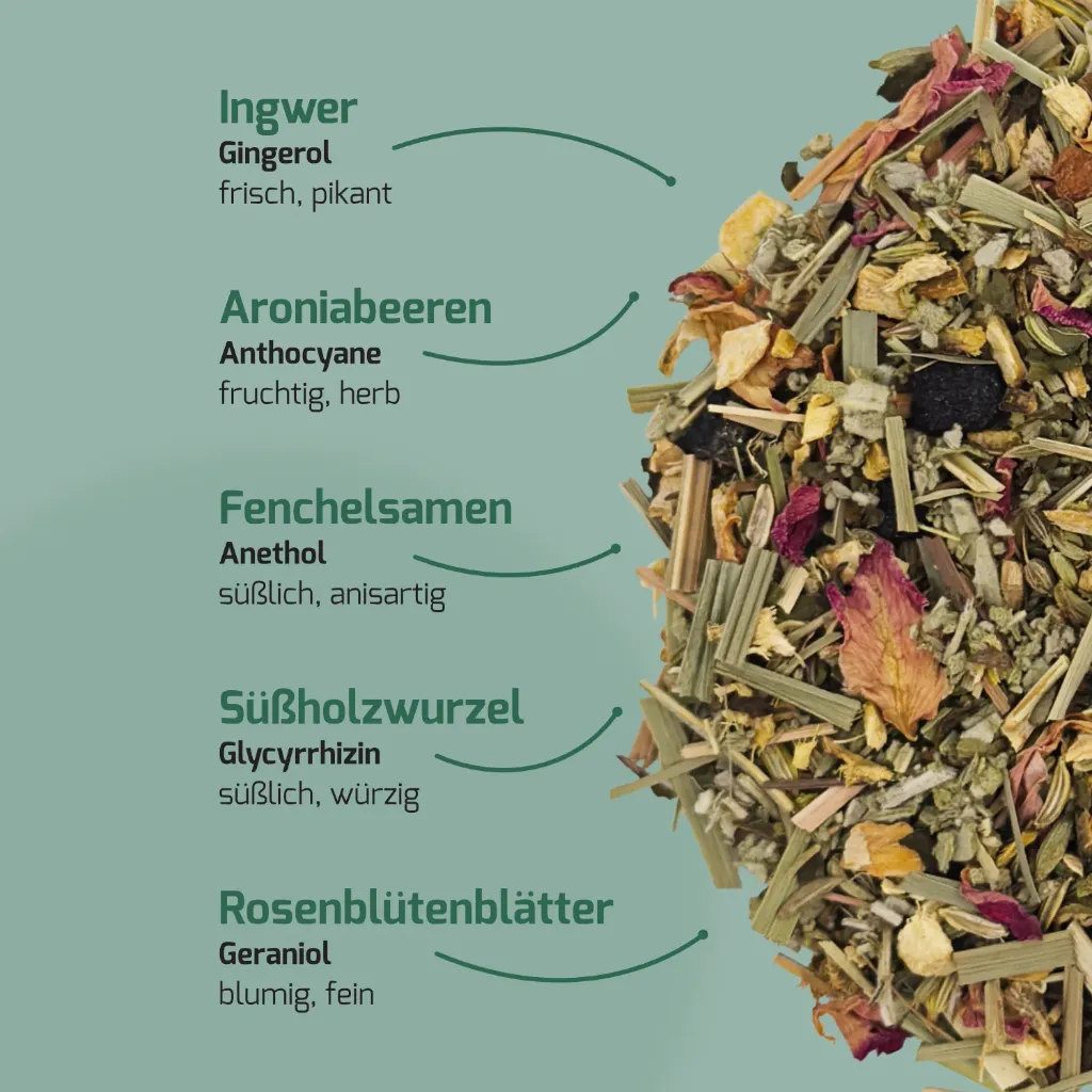 Produkt_Ingwer & Aronia_03.webp