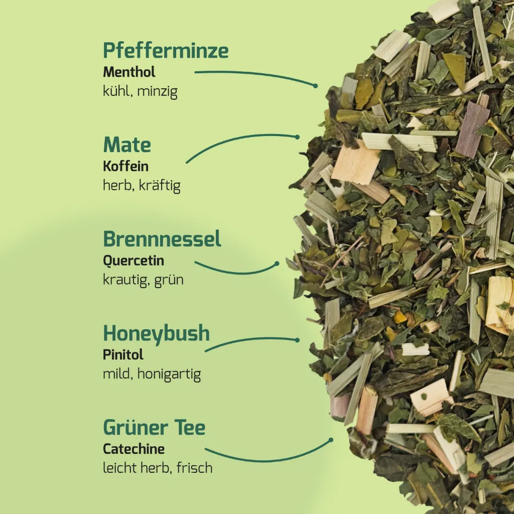 Produkt_Mate & Minze_03.webp