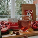ProtecTea Granatapfel - Eistee